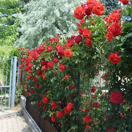 Casa Vacanze La Quercia E L'ulivo * Castelnuovo Don Bosco